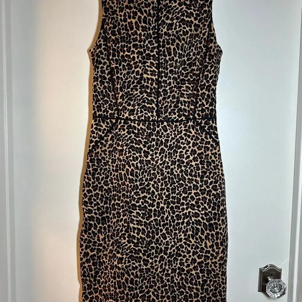 Jcrew Women's multi Dress